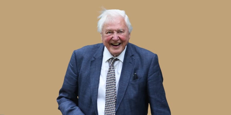 David Attenborough net worth